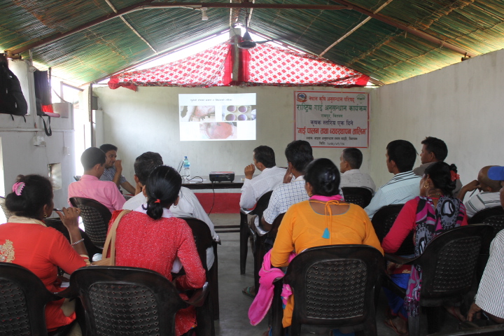 Visits, Training and Workshop